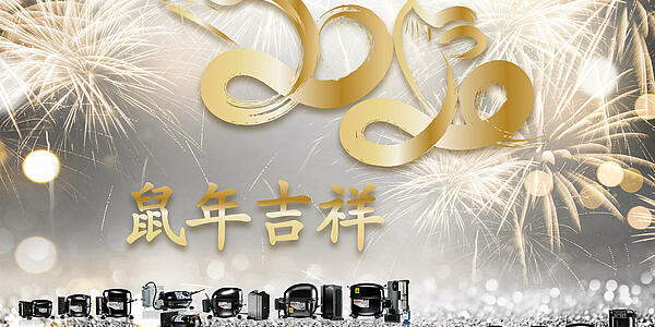 Good Luck for the Chinese New Year 2020!