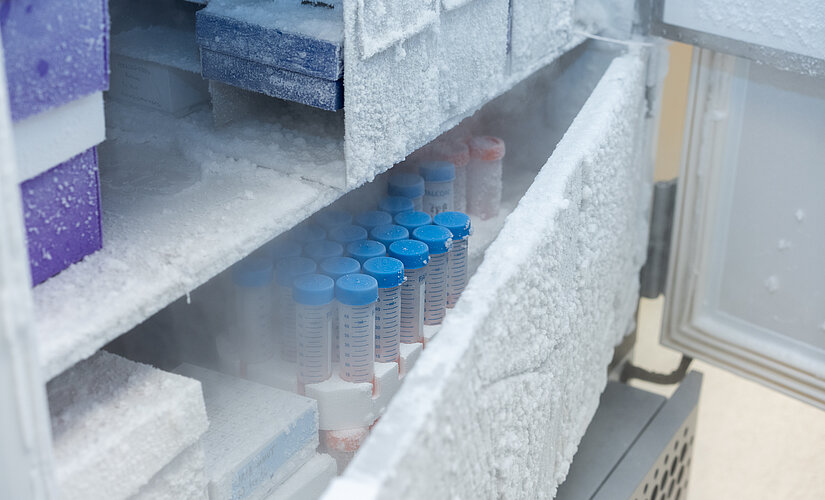 An open freezer with a pallet of laboratory bottles with blue lids.