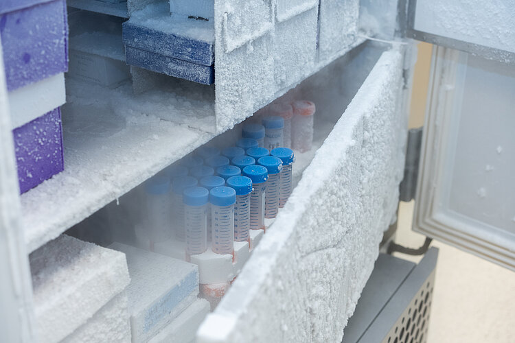 An open freezer with a pallet of laboratory bottles with blue lids.