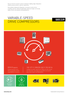 Variable-Speed Drive Compressors