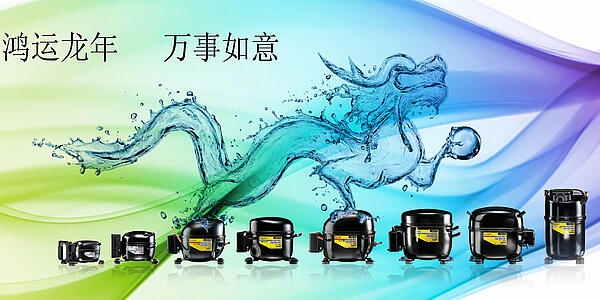 Good luck for the Chinese New Year! Secop wishes you happiness and prosperity for 2012.