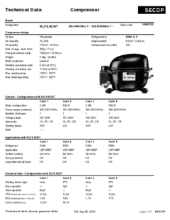 klf66cnt